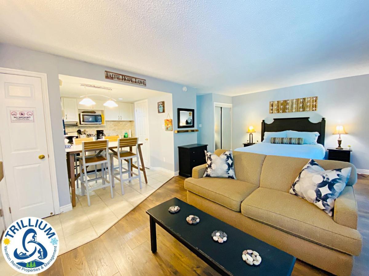 ההרים הכחולים Slopeside Blue Mountain Condo - Wifi, Linens/Towels, Ski In/Out מראה חיצוני תמונה